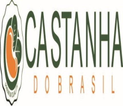 Castanha do Brasil