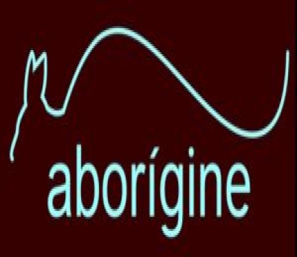 Aborigine Store